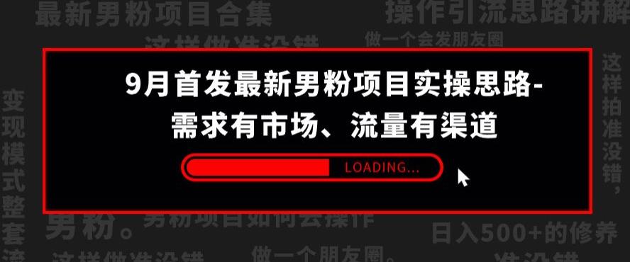 9月首发最新男粉项目实操思路-需求有市场，流量有渠道