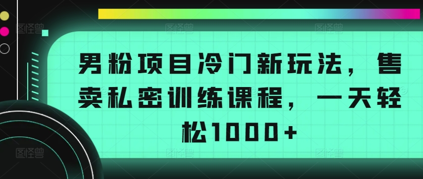 （第7229期）男粉项目冷门新玩法，售卖私密训练课程，一天轻松1000+