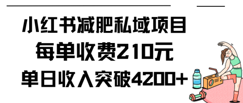 （9466期）小红书减肥私域项目每单收费210元单日成交20单，最高日入4200+