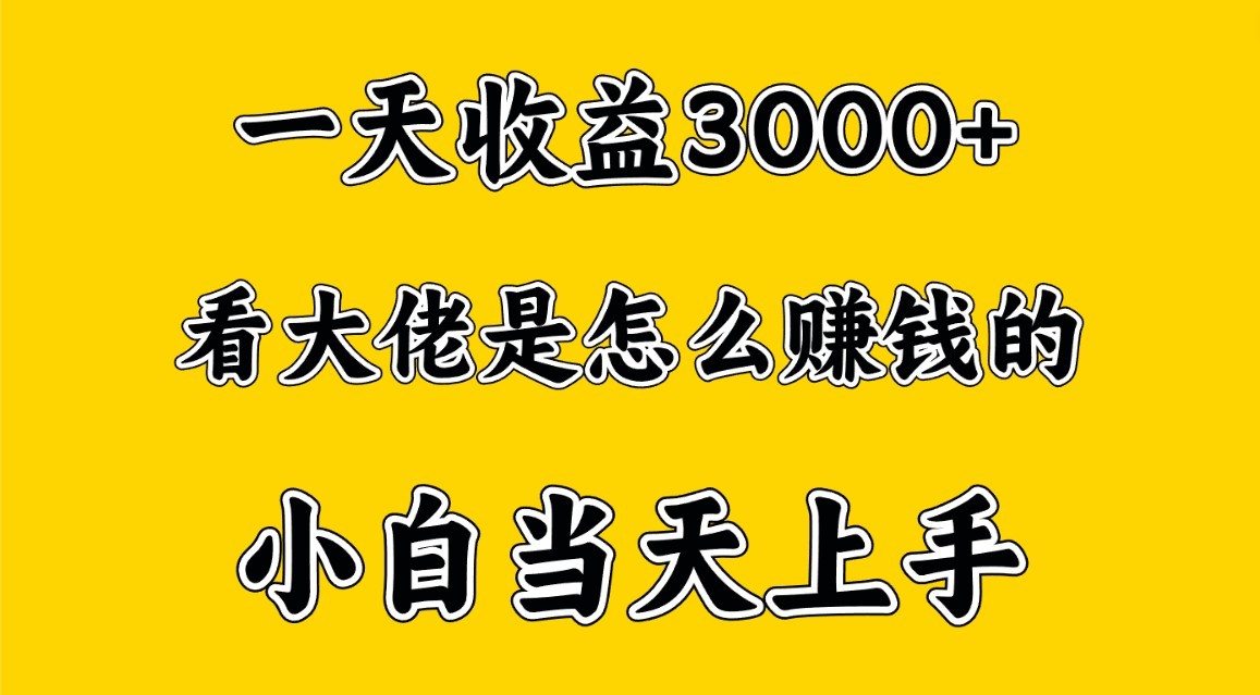 fy3730期-一天赚3000多，大佬是这样赚到钱的，小白当天上手，穷人翻身项目