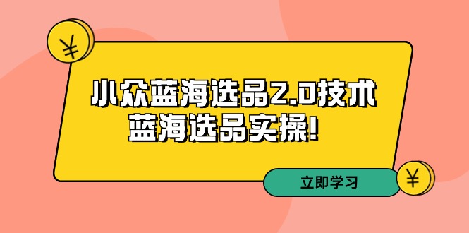 fy2814期-拼多多培训第33期：小众蓝海选品2.0技术-蓝海选品实操