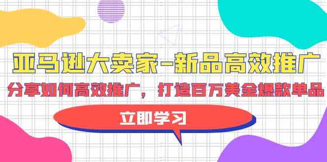 fy3591期-亚马逊大卖家新品高效推广，分享如何高效推广，打造百万美金爆款单品