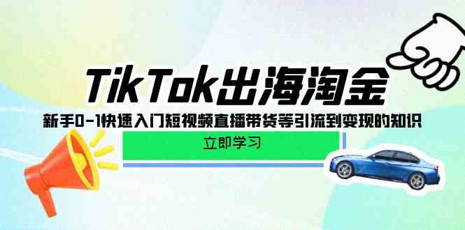 fy3648期-TikTok出海淘金，新手0-1快速入门短视频直播带货等引流到变现的知识