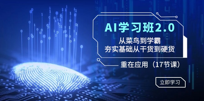 fy2684期-AI学习班2.0：从菜鸟到学霸，夯实基础从干货到硬货，重在应用（17节课）