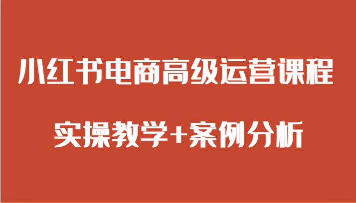 fy2198期-小红书电商高级运营课程 实操教学+案例分析(小红书电商高级运营课程全面解析实操技巧与案例分析)