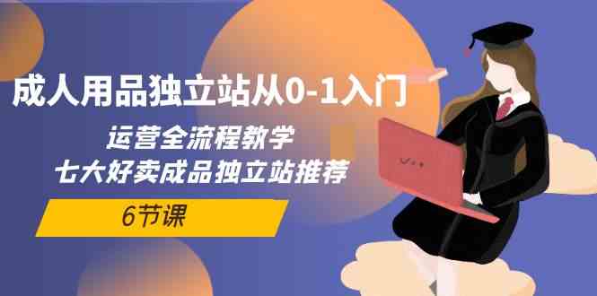 fy3675期-成人用品独立站从0-1入门，运营全流程教学，七大好卖成品独立站推荐（6节课）