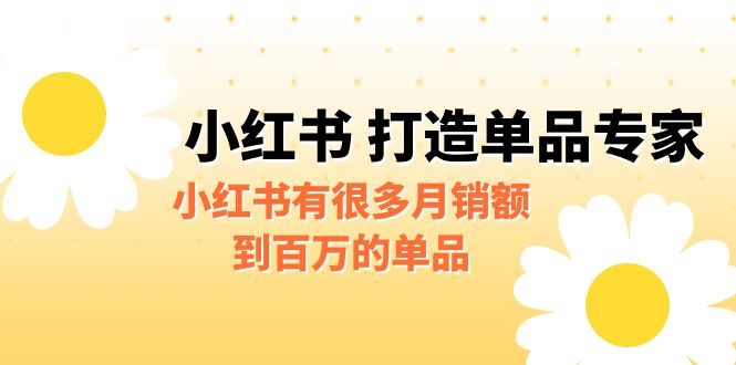 （FY-1014期）某公众号付费文章《小红书 打造单品专家》小红书有很多月销额到百万的单品(小红书的百万单品策略如何快速切入并保持高利润)