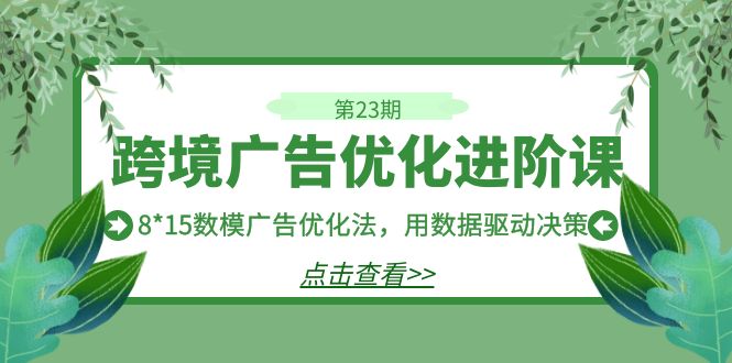 fy1471期-跨境广告·优化进阶课·第23期，8*15数模广告优化法，用数据驱动决策