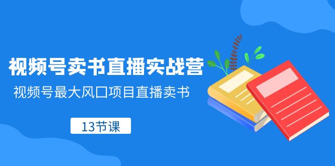 fy2047期-视频号卖书直播实战营，视频号最大风囗项目直播卖书（13节课）