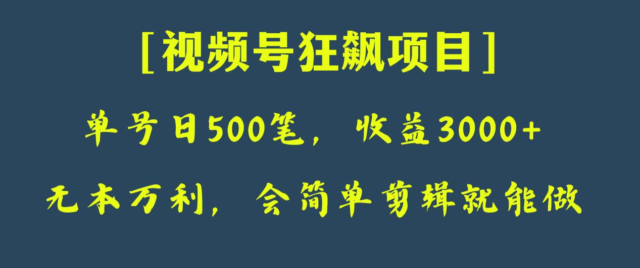 fy1987期-日收款500笔，纯利润3000+，视频号狂飙项目！