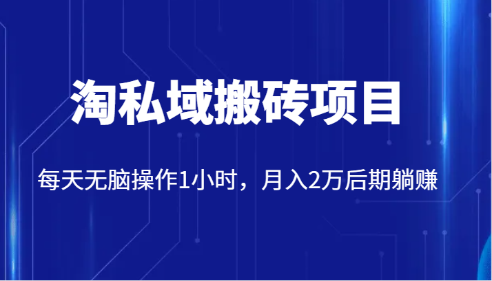 fy1688期-价值2980的淘私域搬砖项目，每天无脑操作1小时，月入2万后期躺赚