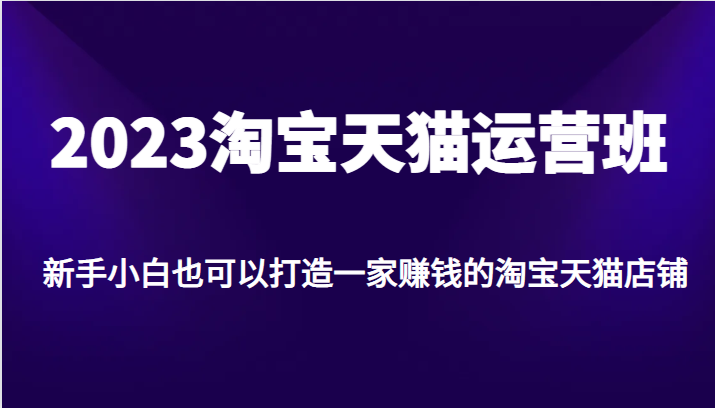 fy1174期-2023淘宝天猫运营班，新手小白也可以打造一家赚钱的淘宝天猫店铺