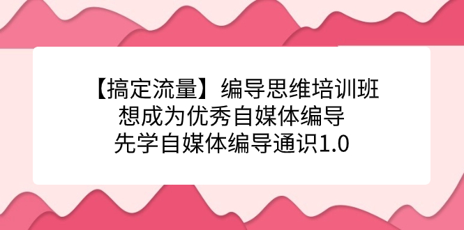 fy1563期-【搞定流量】编导思维培训班，想成为优秀自媒体编导先学自媒体编导通识1.0