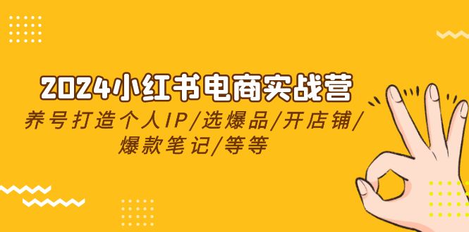 fy3842期-2024小红书电商实战营，养号打造IP/选爆品/开店铺/爆款笔记/等等（24节）