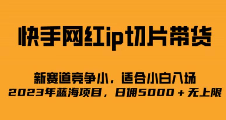 fy1229期-快手网红ip切片新赛道，竞争小，适合小白  2023蓝海项目