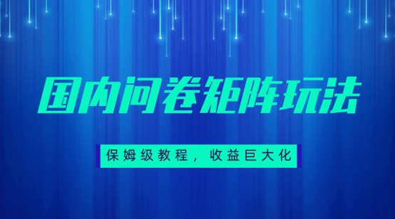 fy1526期-保姆级教程，国内问卷矩阵玩法，轻松赚收益