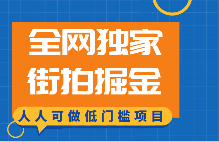 fy1060期-全网独家一街拍掘金，低门槛人人可做的赚钱项目