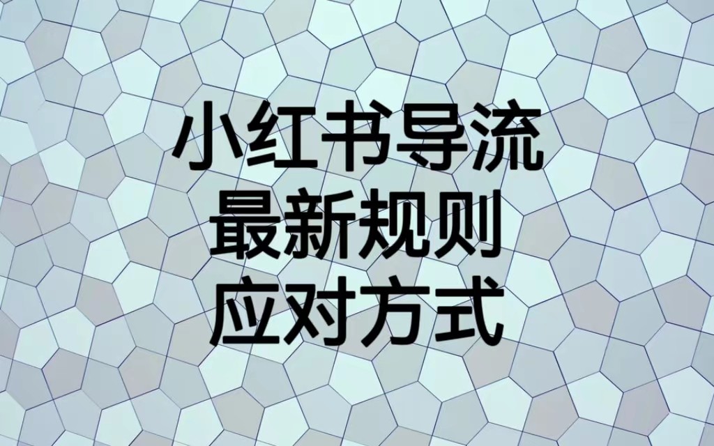 fy1114期-小红书导流最新规则应对方式，新规以后目前还可用的引流方式解读