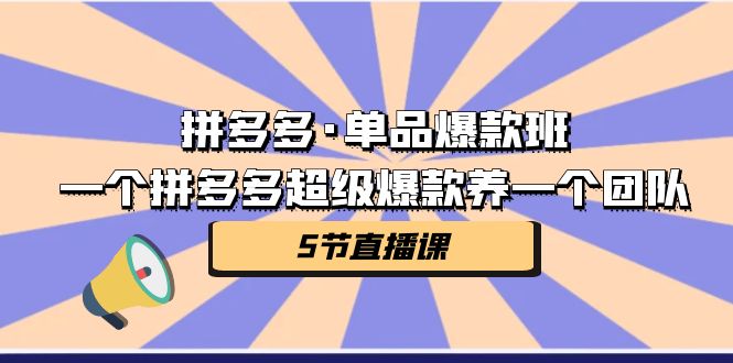 fy1394期-拼多多·单品爆款班，一个拼多多超级爆款养一个团队（5节直播课）