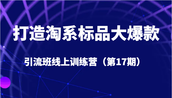 fy1561期-打造淘系标品大爆款引流班线上训练营（第17期）5天直播授课+1个月答疑