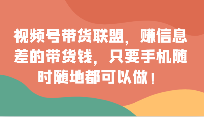 fy2064期-视频号带货联盟，赚信息差的带货钱，只需手机随时随地都可以做！