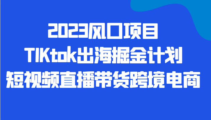 fy1464期-2023风口项目TIKtok出海掘金计划短视频直播带货跨境电商