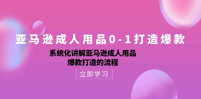 fy3912期-亚马逊成人用品0-1打造爆款：系统化讲解亚马逊成人用品爆款打造的流程