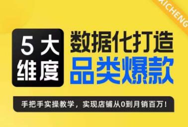 fy1147期-5大维度，数据化打造电商品类爆款特训营，一套高效运营爆款方法论