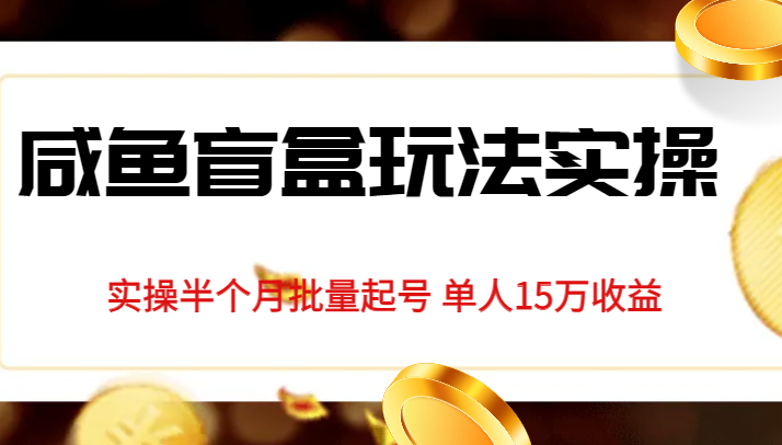 fy1340期-独家首发咸鱼盲盒玩法实操，半个月批量起号单人15万收益揭秘