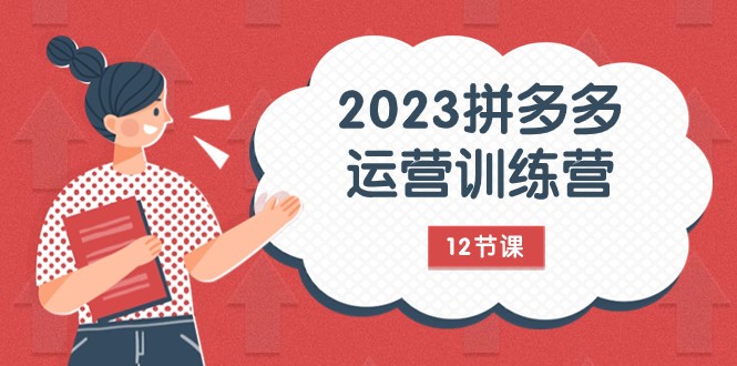 fy1886期-2023拼多多运营训练营：流量底层逻辑，免费+付费流量玩法（12节课）