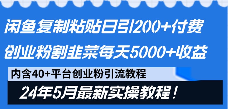 fy3908期-闲鱼复制粘贴日引200+付费创业粉，24年5月最新方法！割韭菜日稳定5000+收益