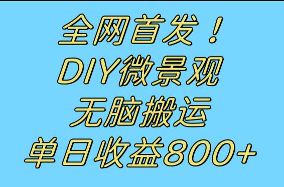 fy1668期-全网首发冷门赛道！DIY微景观，无脑搬运视频，日收益800+