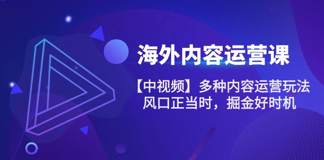 FY4115期-海外内容运营课【中视频】多种内容运营玩法 风口正当时 掘金好时机（101节）