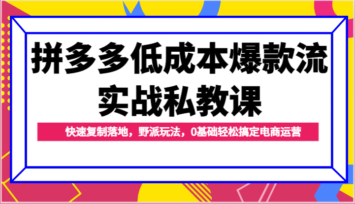 FY4260期-拼多多低成本爆款流实战私教课，快速复制落地，野派玩法，0基础轻松搞定电商运营