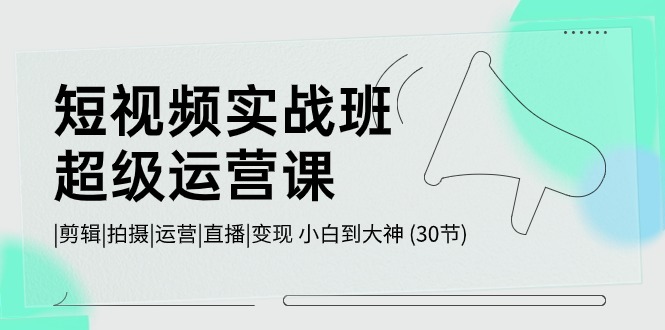 FY4107期-短视频实战班超级运营课 |剪辑|拍摄|运营|直播|变现 小白到大神 (30节)