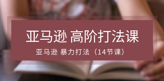 FY4137期-亚马逊高阶打法课，亚马逊暴力打法（14节视频课）