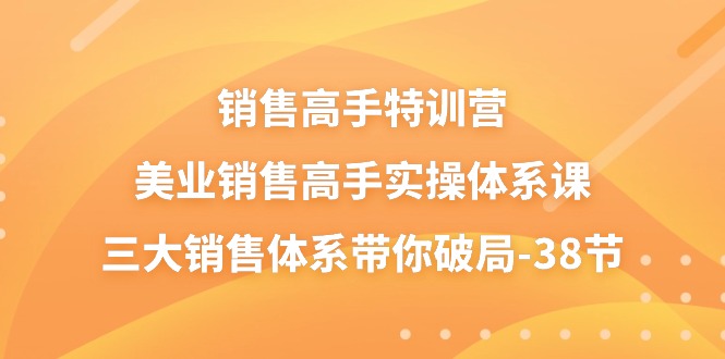 FY4163期-销售高手特训营，美业销售高手实操体系课，三大销售体系带你破局（38节）