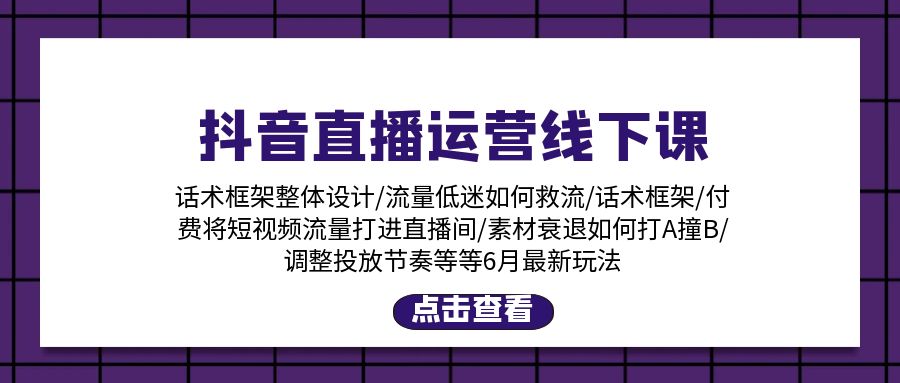 （11211期）抖音直播运营线下课：话术框架/付费流量直播间/素材A撞B/等6月新玩法