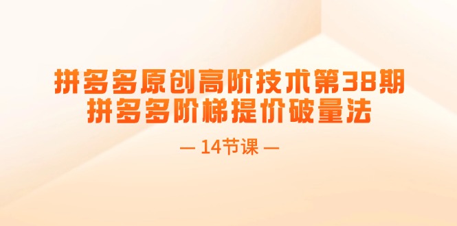 FY4575期-拼多多原创高阶技术第38期，拼多多阶梯提价破量法（14节课）