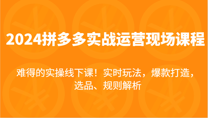 FY4593期-2024拼多多实战运营现场课，实时玩法，爆款打造，选品、规则解析，难得的实操线下课！