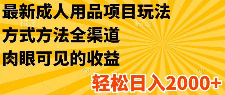 FY4558期-最新成人用品项目玩法，方式方法全渠道，肉眼可见的收益，轻松日入2000+