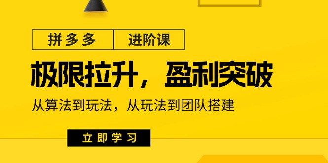 FY4438期-拼多多进阶课：极限拉升/盈利突破：从算法到玩法 从玩法到团队搭建（18节）