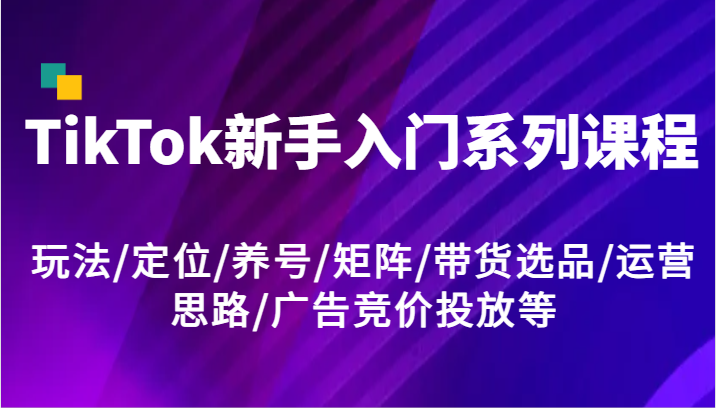 FY4666期-TikTok新手入门系列课程，玩法/定位/养号/矩阵/带货选品/运营思路/广告竞价投放等