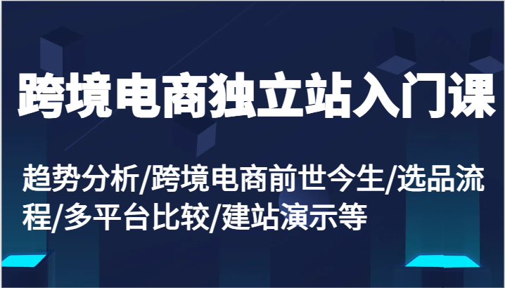 FY4655期-跨境电商独立站入门课：趋势分析/跨境电商前世今生/选品流程/多平台比较/建站演示等