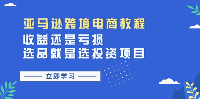 FY4435期-亚马逊跨境电商教程：收益还是亏损！选品就是选投资项目