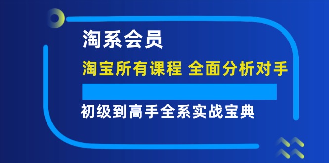 FY4092期-淘系会员初级到高手全系实战宝典【淘宝所有课程，全面分析对手】