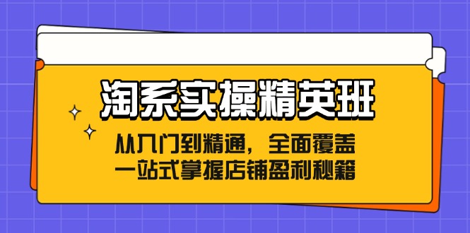 FY4207期-淘系实操精英班：从入门到精通，全面覆盖，一站式掌握店铺盈利秘籍