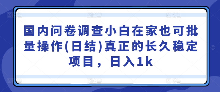 国内问卷调查小白在家也可批量操作(日结)真正的长久稳定项目，日入1k