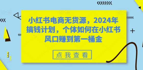 小红书电商无货源，2024年搞钱计划，个体如何在小红书风口赚到第一桶金