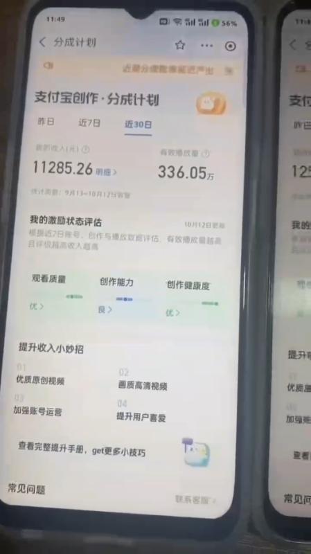 （12970期）2024年底最稳项目，小白无门槛，坚持做三个月，回家过肥年！！！